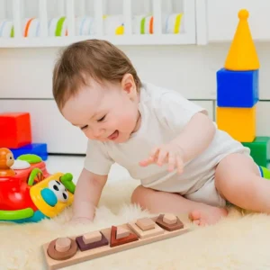 Educational wooden sorting toys